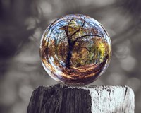 Pop of Color Glass Sphere Fine Art Print