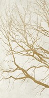 Golden Tree I Fine Art Print