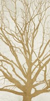 Golden Tree II Framed Print
