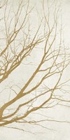 Golden Tree III Framed Print