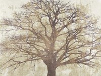 Sacred Oak Fine Art Print
