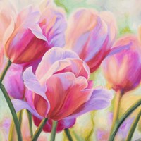 Tulips in Wonderland I Framed Print
