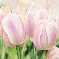 Primavera II Fine Art Print