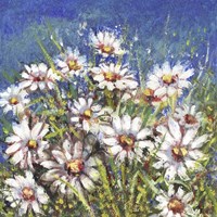 Campo di Margherite Fine Art Print