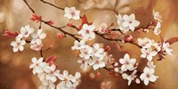 Sakura Fine Art Print