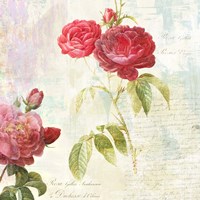 Redoute's Roses 2.0 II Fine Art Print