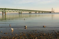 Mackinac Bridge, Mackinaw City, Michigan Fine Art Print