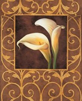 Ornamental Callas Fine Art Print