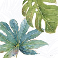 Tropical Blush VII Fine Art Print