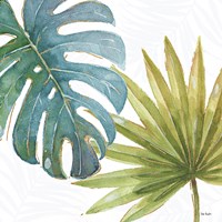 Tropical Blush VIII Fine Art Print