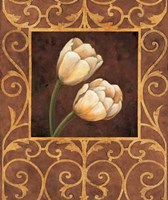 Ornamental Tulips Fine Art Print