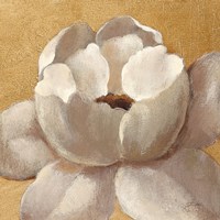 Sunset Flower II on Gold Fine Art Print