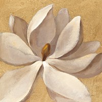 Sunset Flower I on Gold Fine Art Print