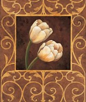 Ornamental Tulips Fine Art Print