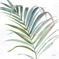 Tropical Blush V Fine Art Print