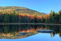 Lily Pond, White Mountain Forest, New Hampshire Fine Art Print