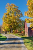 Road beside Classic Farm in Autumn, New Hampshire Fine Art Print