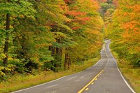 Roadway through White Mountain National Forest, New Hampshire Fine Art Print