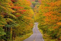 White Mountain National Forest, New Hampshire Fine Art Print