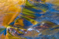Fall Reflections in Stream, White Mountain National Forest, New Hampshire Fine Art Print