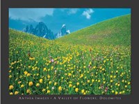 Valley of Flowers, Dolomites Fine Art Print