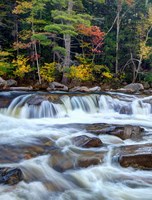 Lower Swift River Falls, White Mountains, New Hampshire Fine Art Print