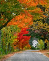 Road lined in fall color, Andover, New England, New Hampshire Fine Art Print