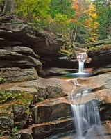 Sabbady Falls,White Mountains National Forest New Hampshire Fine Art Print