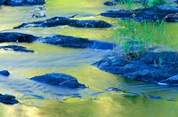 Summer Reflections in the Waters of the Lamprey River, New Hampshire Fine Art Print