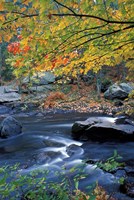 Packers Falls on the Lamprey River, New Hampshire Fine Art Print