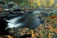 Autumn Leaves at Packers Falls on the Lamprey River, New Hampshire Fine Art Print