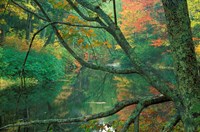 Fall on the Lamprey River below Wiswall Dam, New Hampshire Fine Art Print