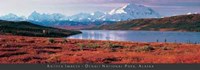 Denali National Park, Alaska Fine Art Print