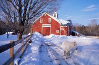Pony and Barn near the Lamprey River in Winter, New Hampshire Fine Art Print