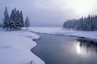 Snow on the Shores of Second Connecticut Lake, Northern Forest, New Hampshire Fine Art Print