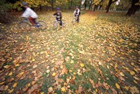 Riding Bikes in Late Fall, New Hampshire Fine Art Print