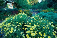 Prescott Park Garden, New Hampshire Fine Art Print