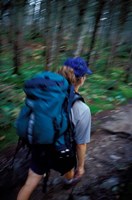 Backpacking on Franconia Ridge Trail, Boreal Forest, New Hampshire Fine Art Print