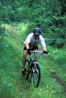 Mountain Biking on Providence Pond Loop Trail, White Mountain National Forest, New Hampshire Fine Art Print