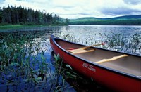 Canoeing on Lake Tarleton, White Mountain National Forest, New Hampshire Fine Art Print