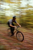 Mountain Biking, Old Logging Road, New Hampshire Fine Art Print