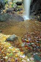 Pitcher Falls in White Mountains, New Hampshire Fine Art Print