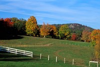 Horse Farm in New England, New Hampshire Fine Art Print