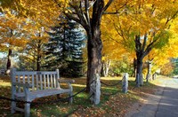 Fall in New England, New Hampshire Fine Art Print