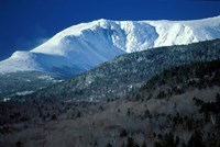 Huntington Ravine From the Glen House Site in the White Mountains, New Hampshire Fine Art Print