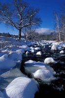 Wildcat River, New Hampshire Fine Art Print