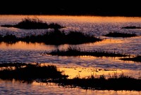 Great Bay at Sunset, New Hampshire Fine Art Print