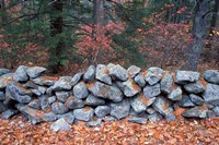 Stone Wall next to Sheepboro Road, New Hampshire Fine Art Print