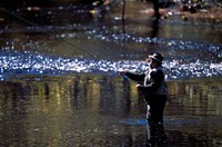 Fly Fisherman on the Lamprey River Below Wiswall Dam, New Hampshire Fine Art Print