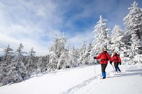 Winter Hiking on Mount Cardigan, Clark Trail, Canaan, New Hampshire Fine Art Print